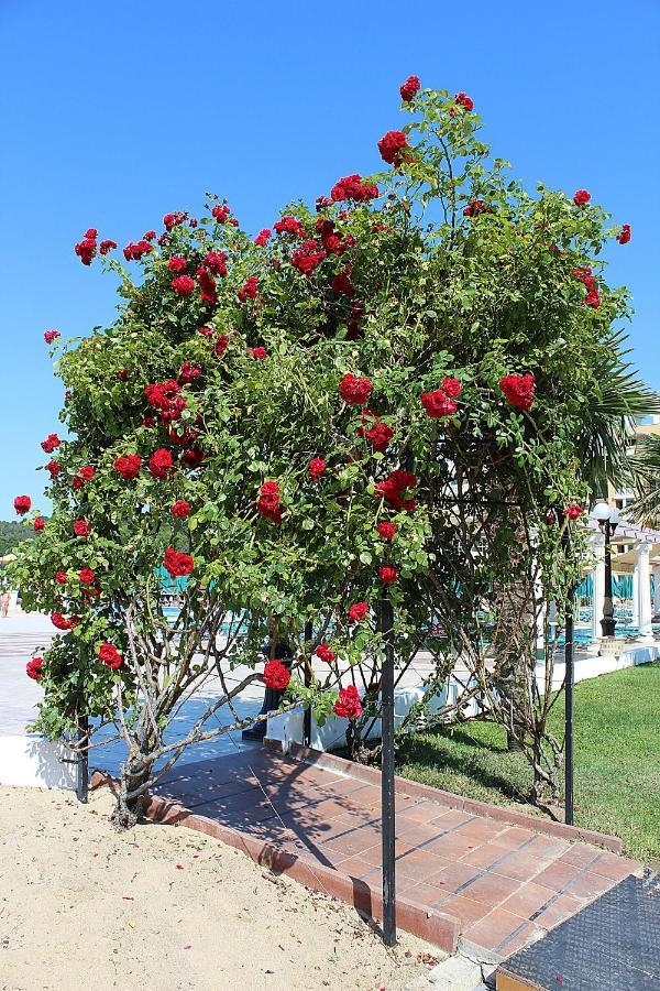 דוני Duni Marina Beach Hotel מראה חיצוני תמונה